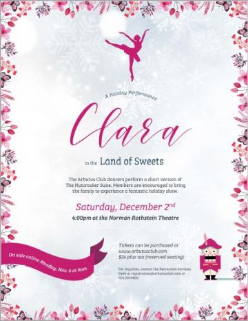 Nutcracker - Clara in the Land of Sweets
