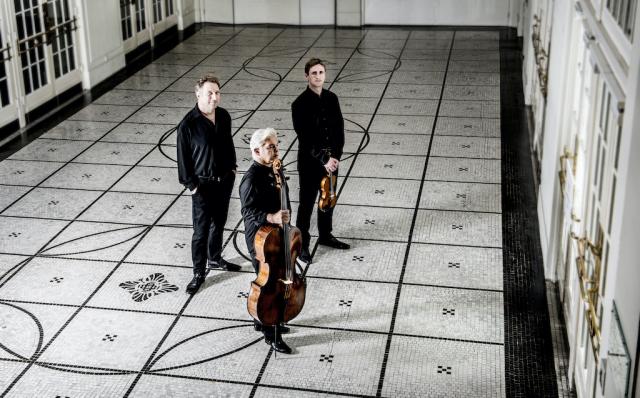 Friends Of Chamber Music Presents - Vienna Piano Trio