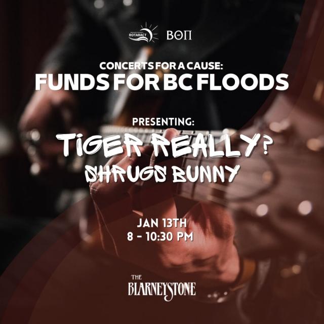 Concerts for a Cause: Funds for BC Floods Volume 1