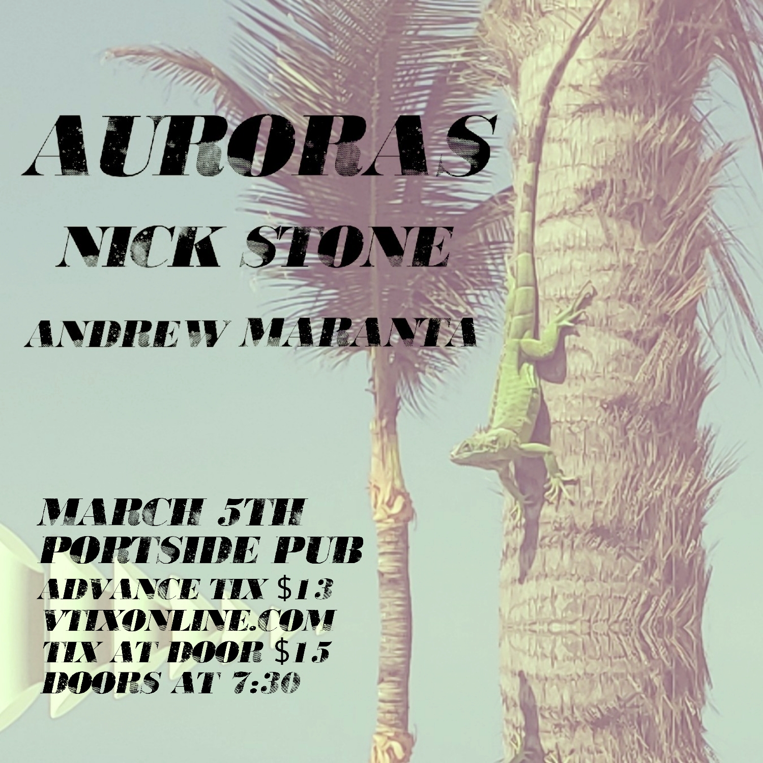 Auroras + Nick Stone, With Special Guest Andrew Maranta