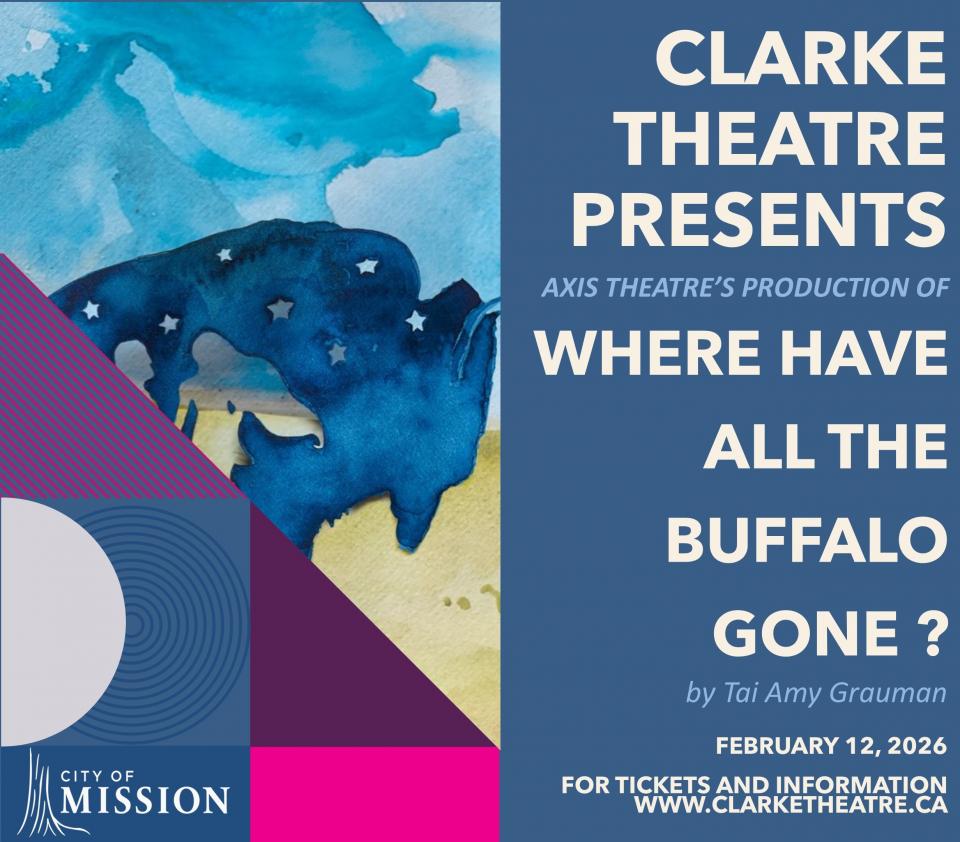 Where Have all The Buffalo Gone